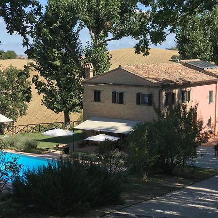 Santa Maria Nuova  Il Posto Perfetto B&B 외부 사진