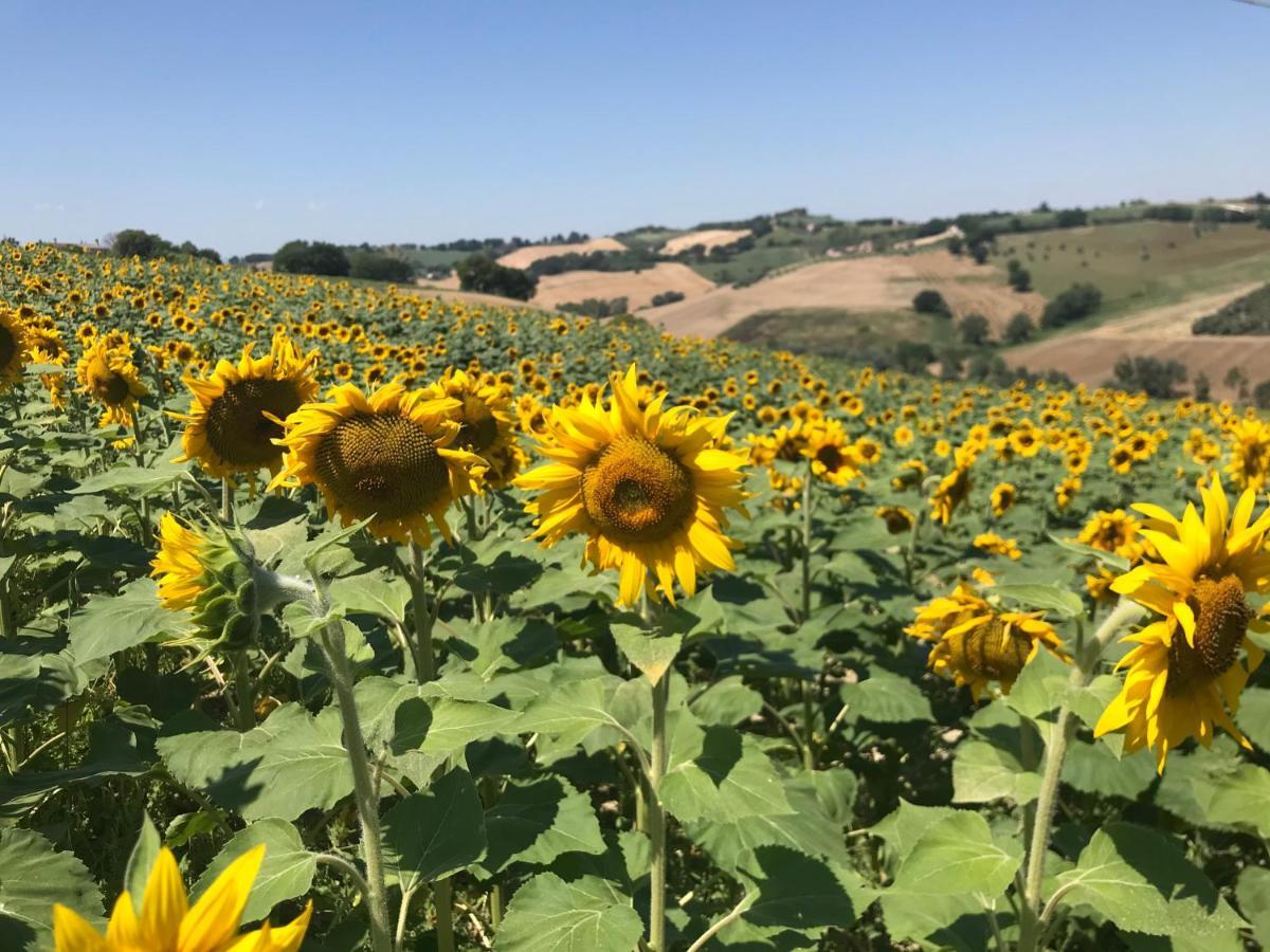 Santa Maria Nuova  Il Posto Perfetto B&B 외부 사진