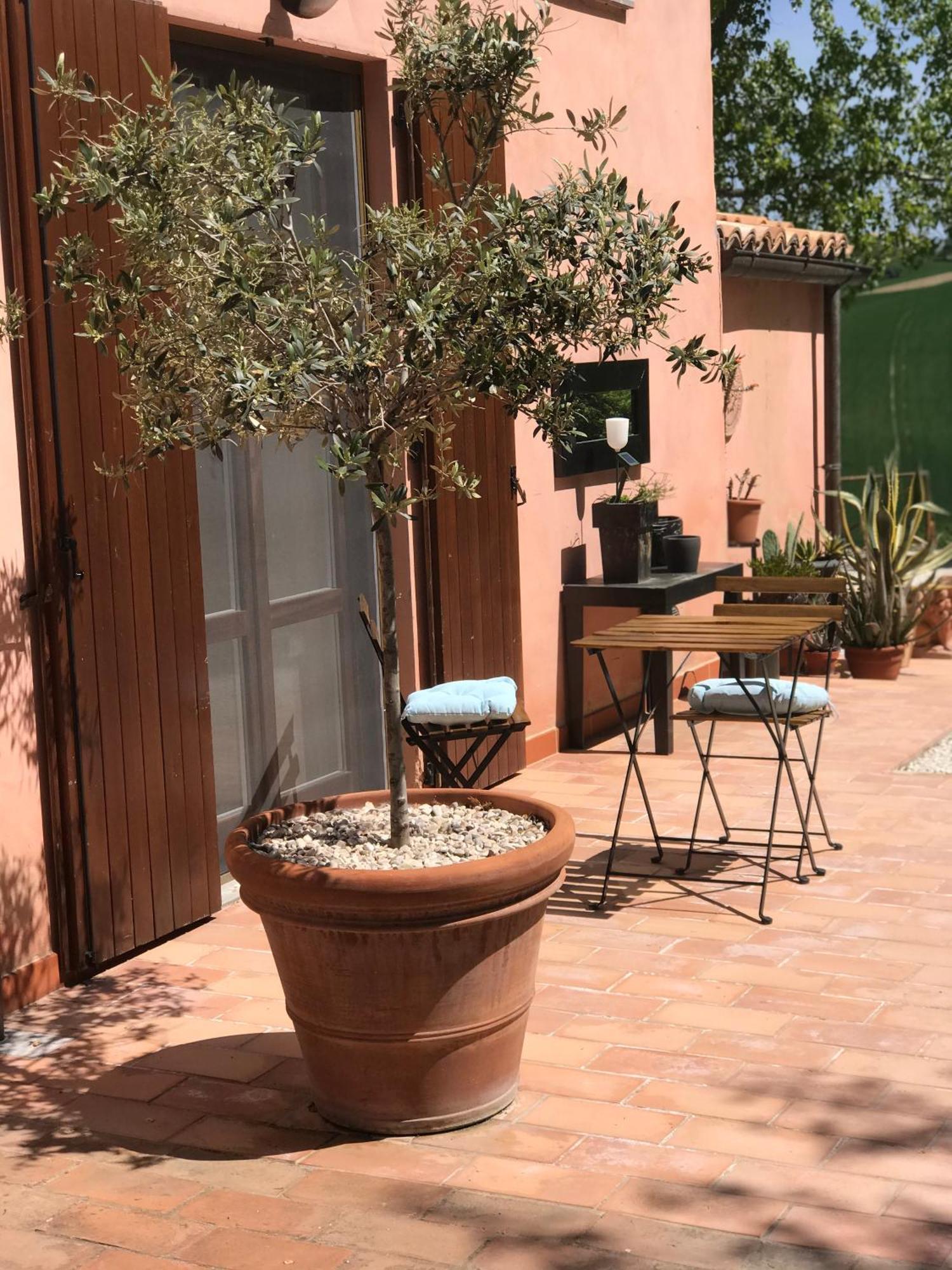 Santa Maria Nuova  Il Posto Perfetto B&B 외부 사진