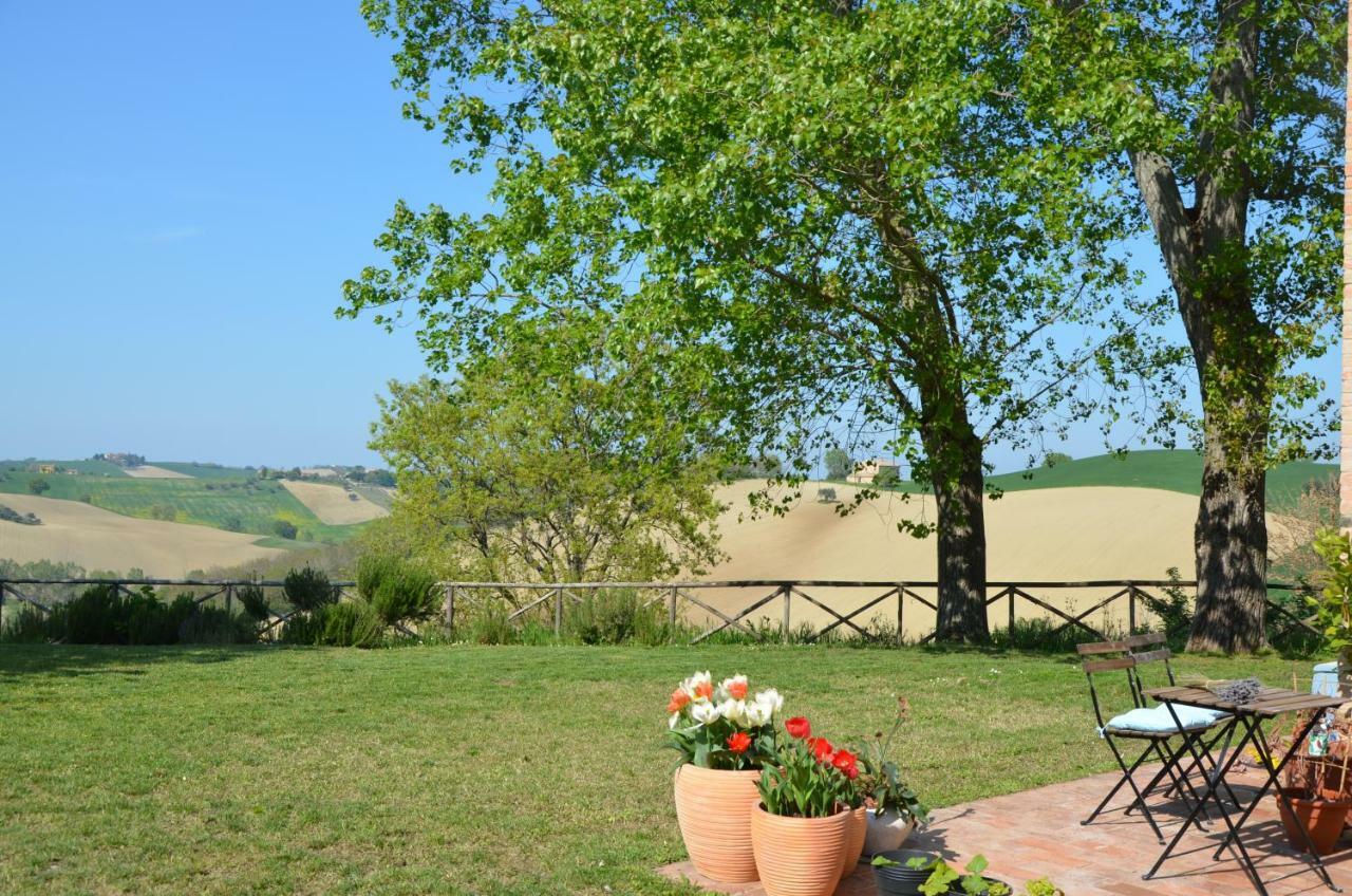 Santa Maria Nuova  Il Posto Perfetto B&B 외부 사진