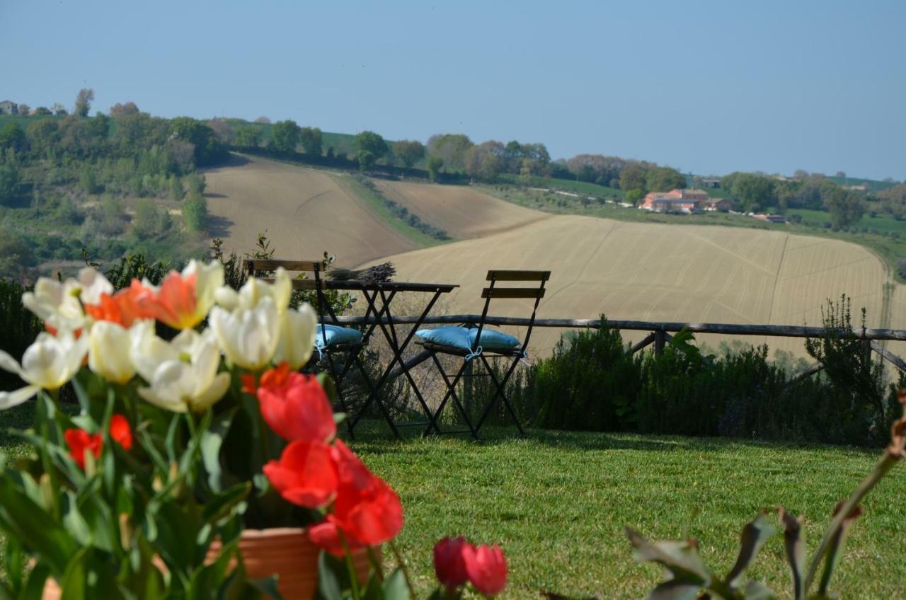 Santa Maria Nuova  Il Posto Perfetto B&B 외부 사진