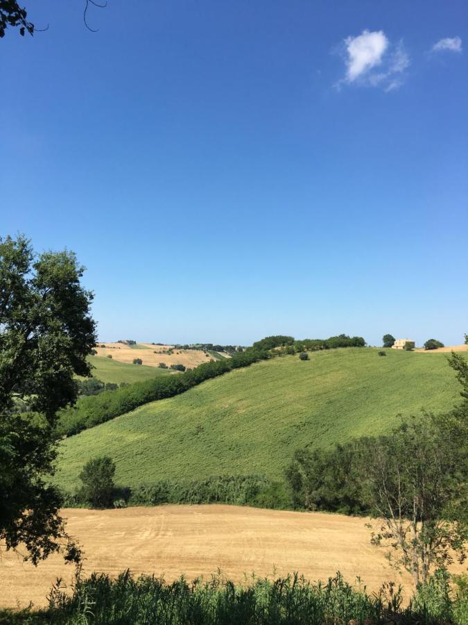 Santa Maria Nuova  Il Posto Perfetto B&B 외부 사진