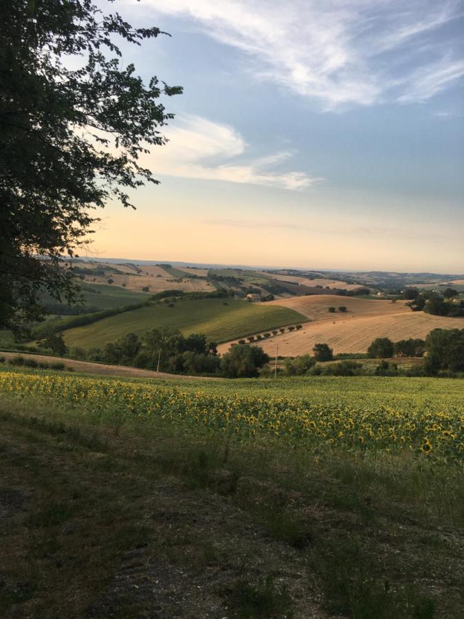 Santa Maria Nuova  Il Posto Perfetto B&B 외부 사진